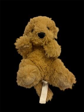 Douglas lil baby golden retriever